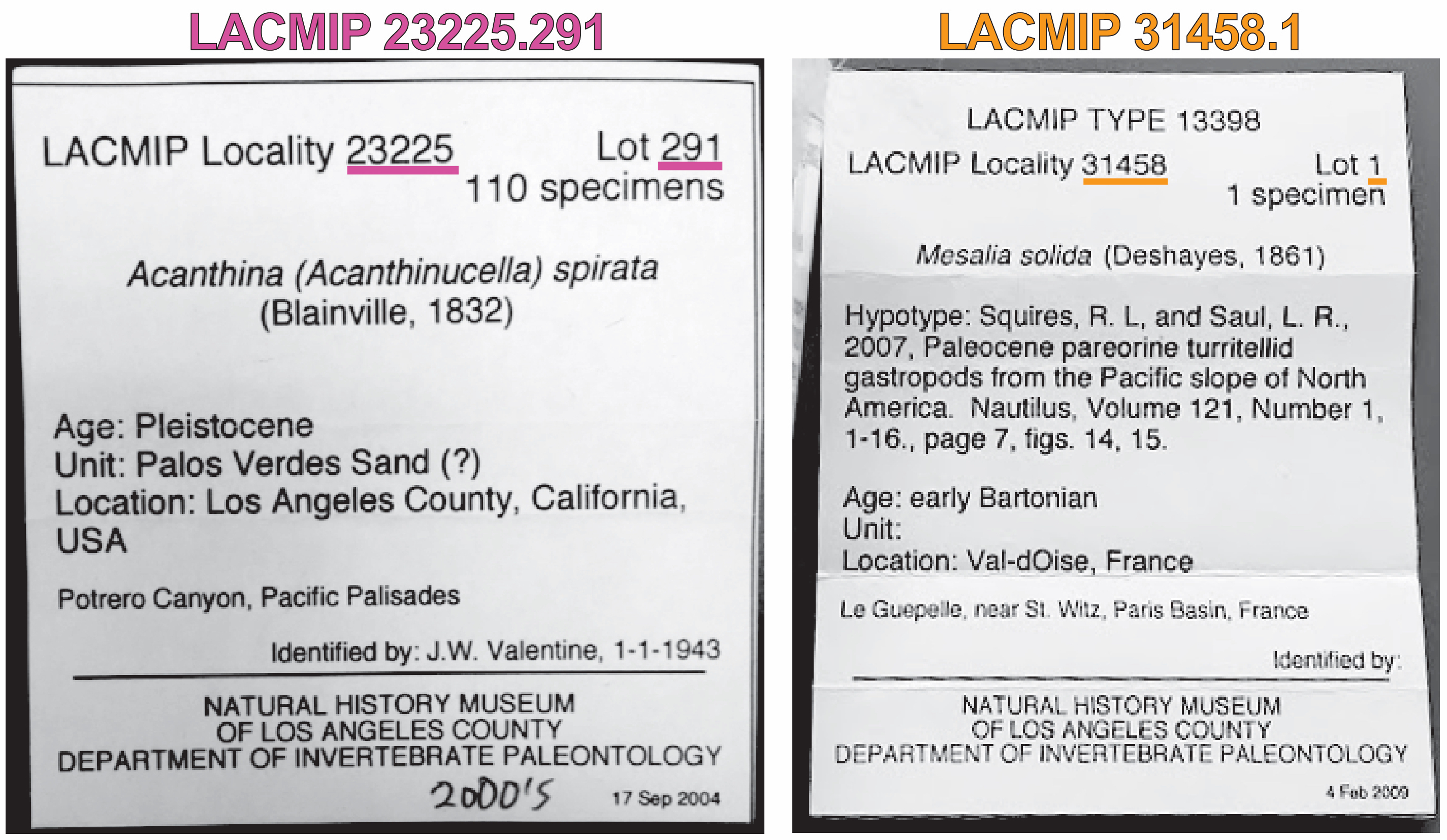 image of old specimen labels