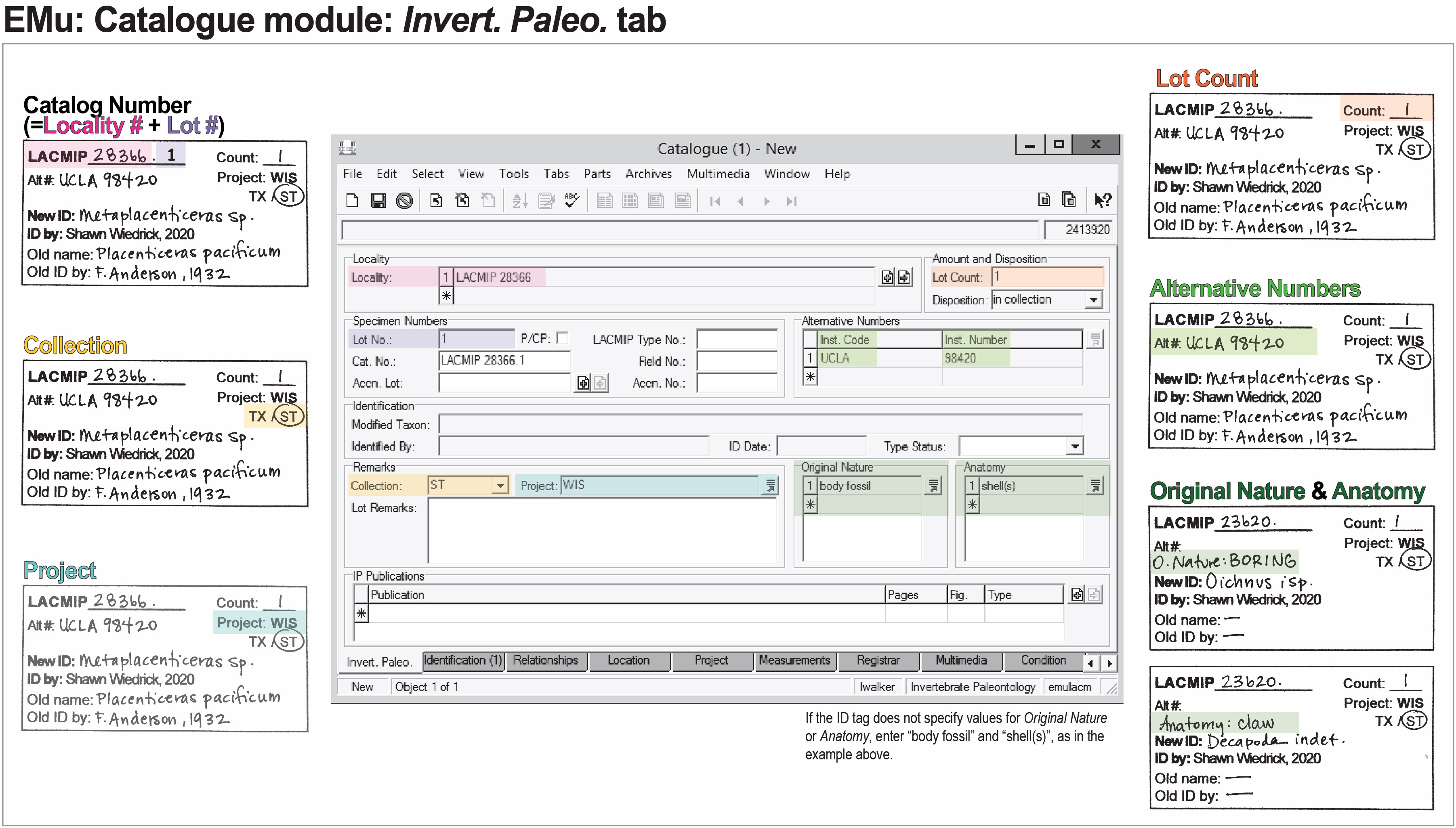 Cataloging - LACMIP EMu Handbook