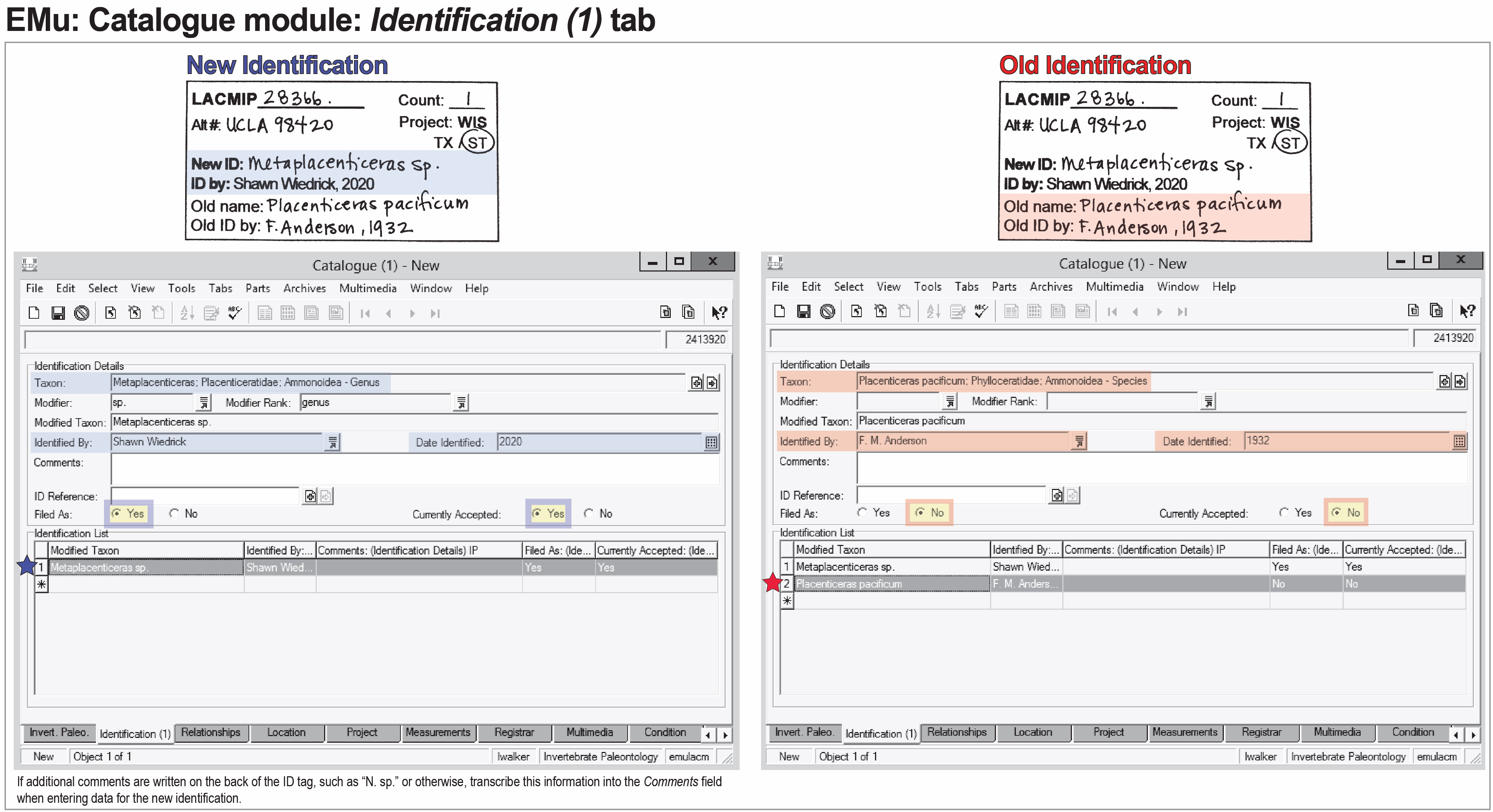 image of example catalogue record with ID tag