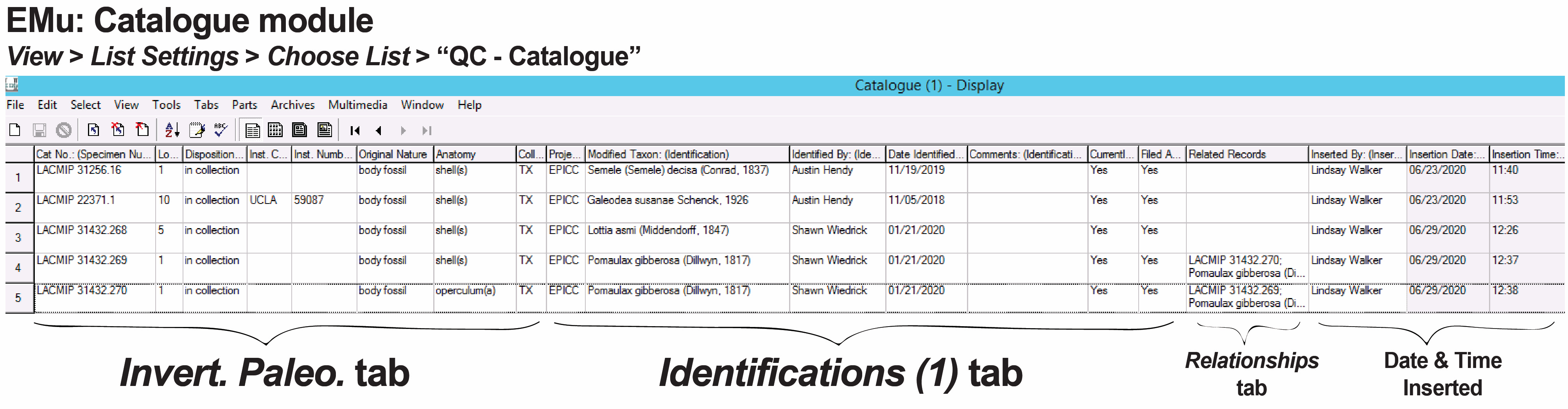 image of list view in the Catalogue module