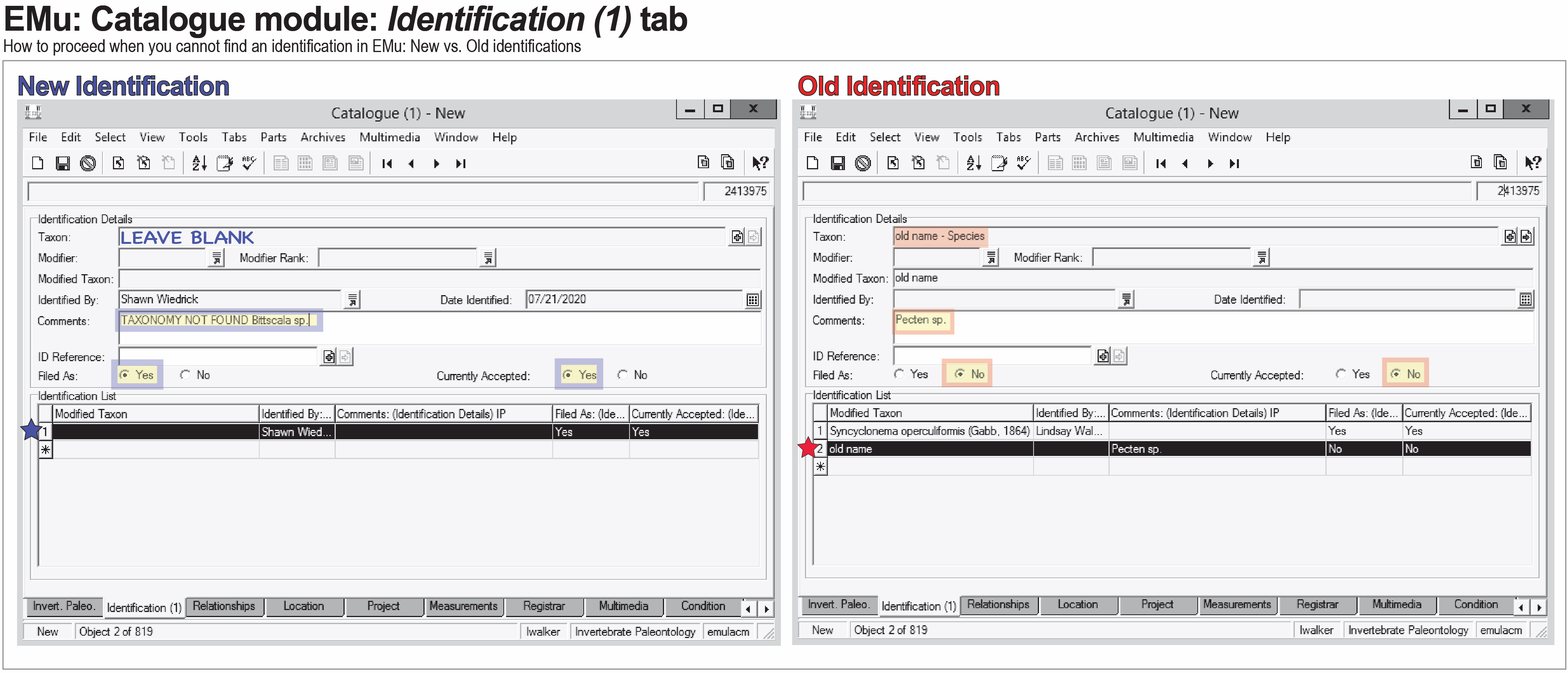 image of Identifications tab