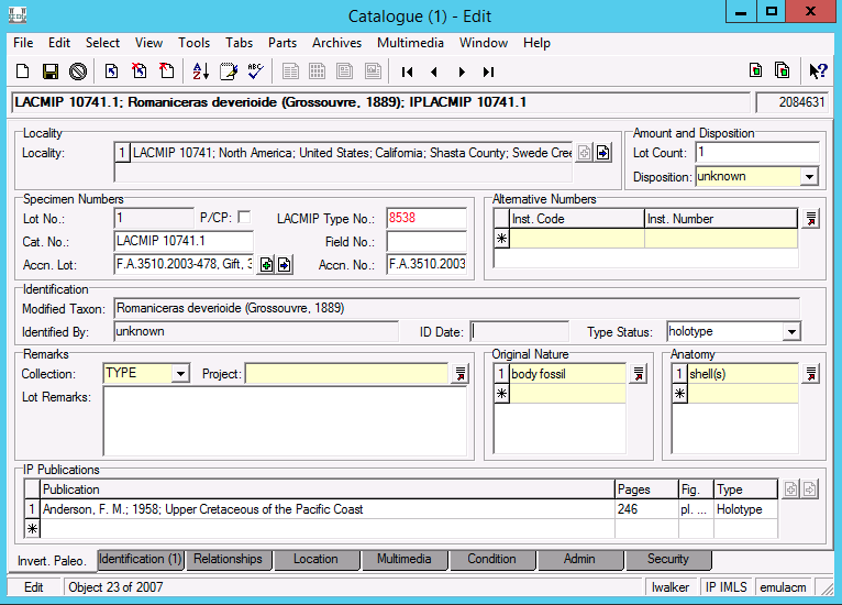 screenshot of the Invert. Paleo. tab's search form in the Catalogue module