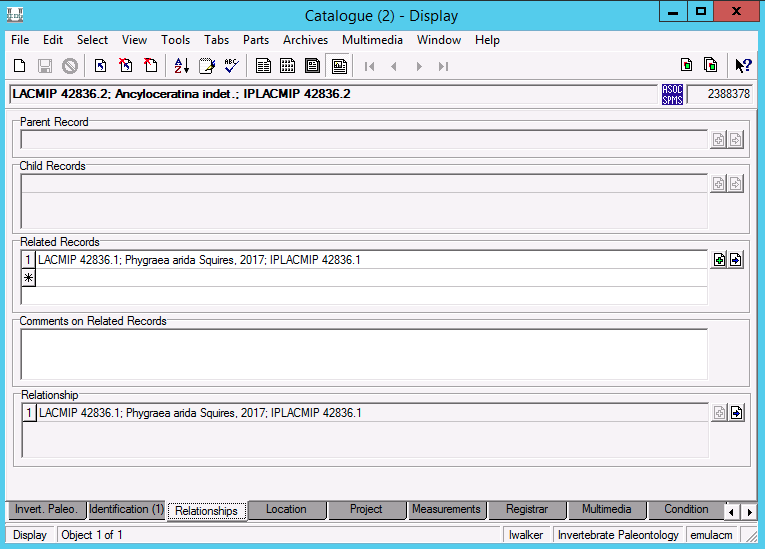 screenshot of the Relationships tab in the Catalogue module