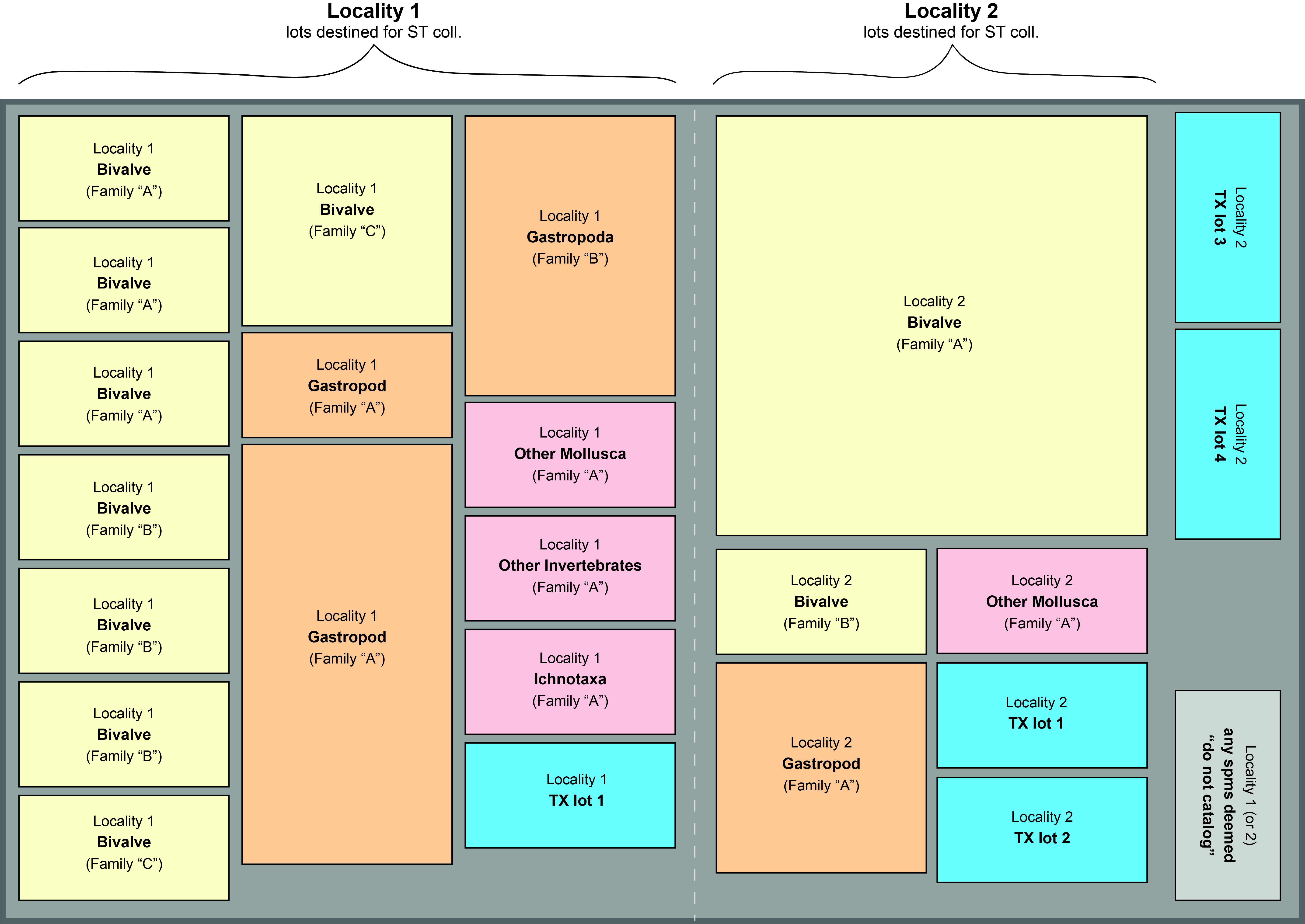 Example of how to arrange a specimen lots in a tray. Right-click the image above to enlarge it in a separate tab or window.