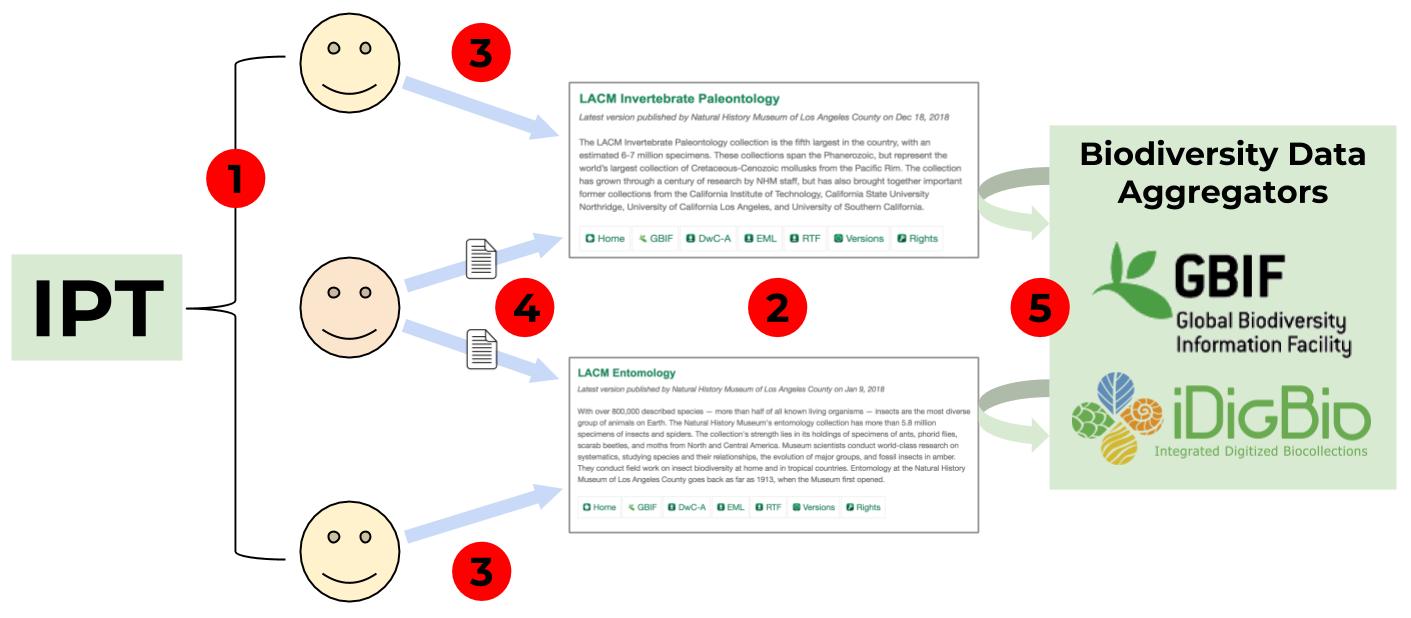 diagram showing what the IPT is used for