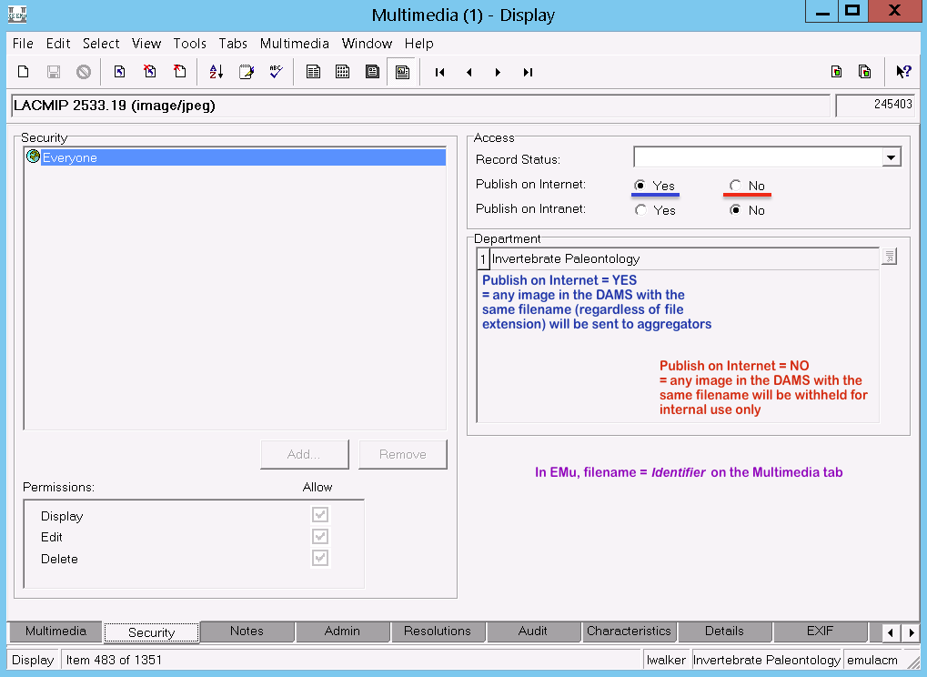 Security tab of the Multimedia module