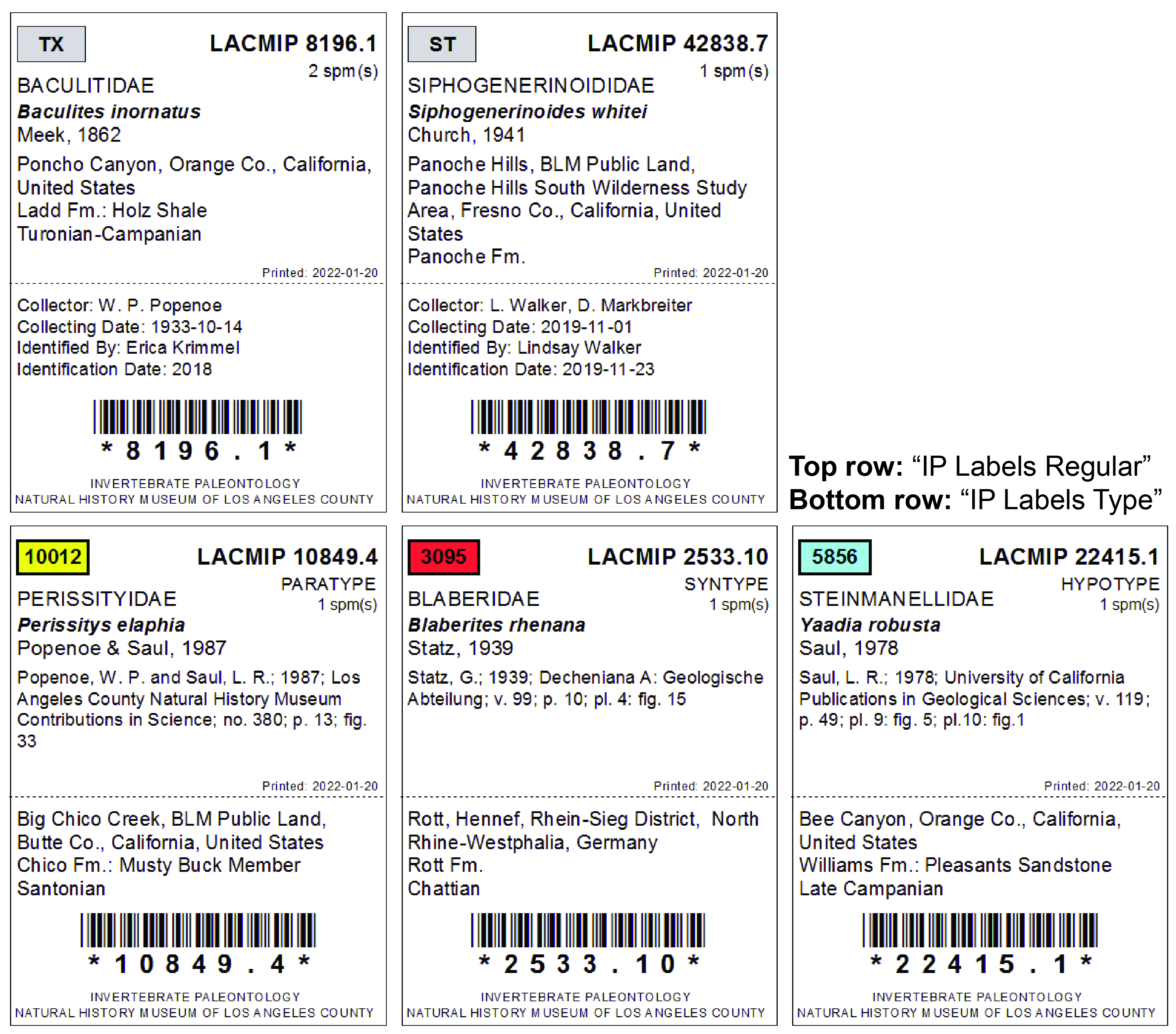 image of two different specimen label templates