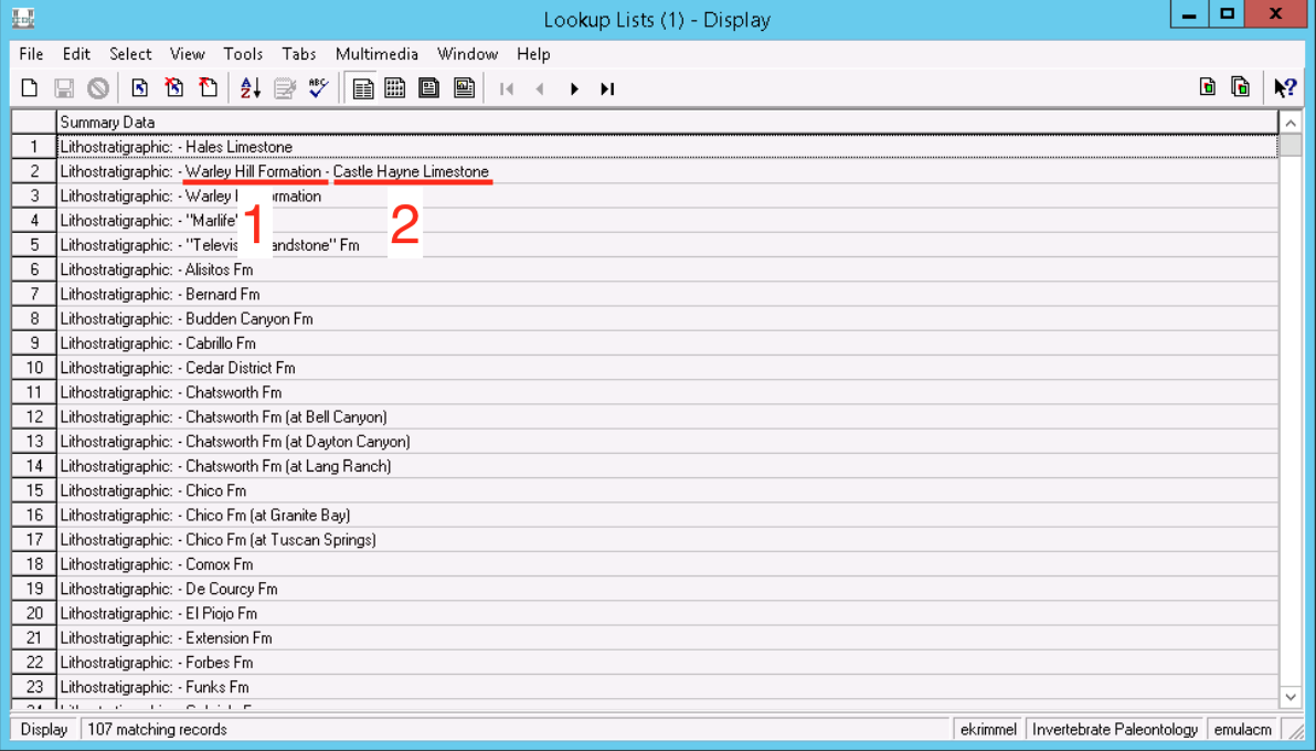 screenshot of search results for the Lithostratigraphic lookup list