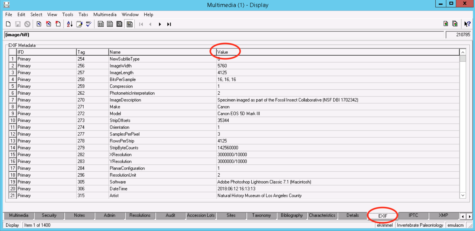 screenshot of multimedia module exif tab