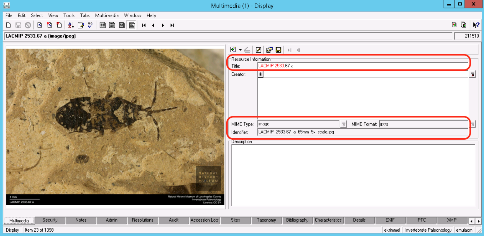 screenshot of multimedia module