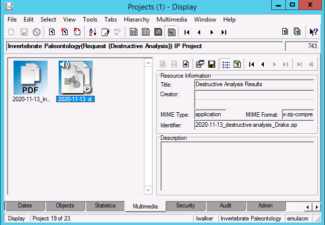 screenshot of the Multimedia tab in the Projects module