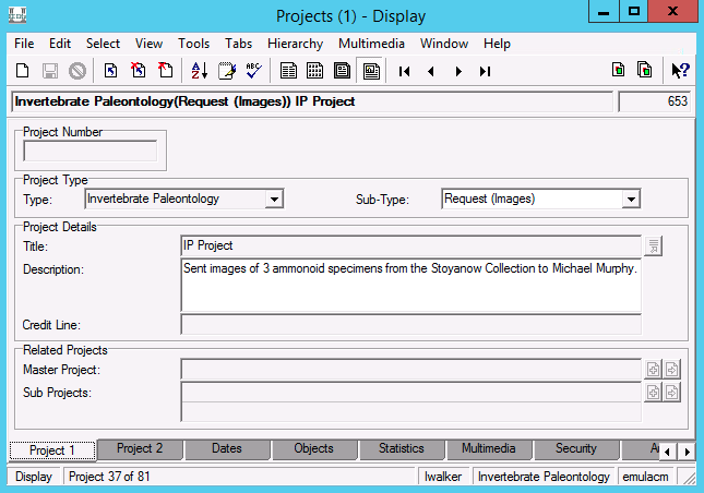 screenshot of the Project 1 tab in the Projects module