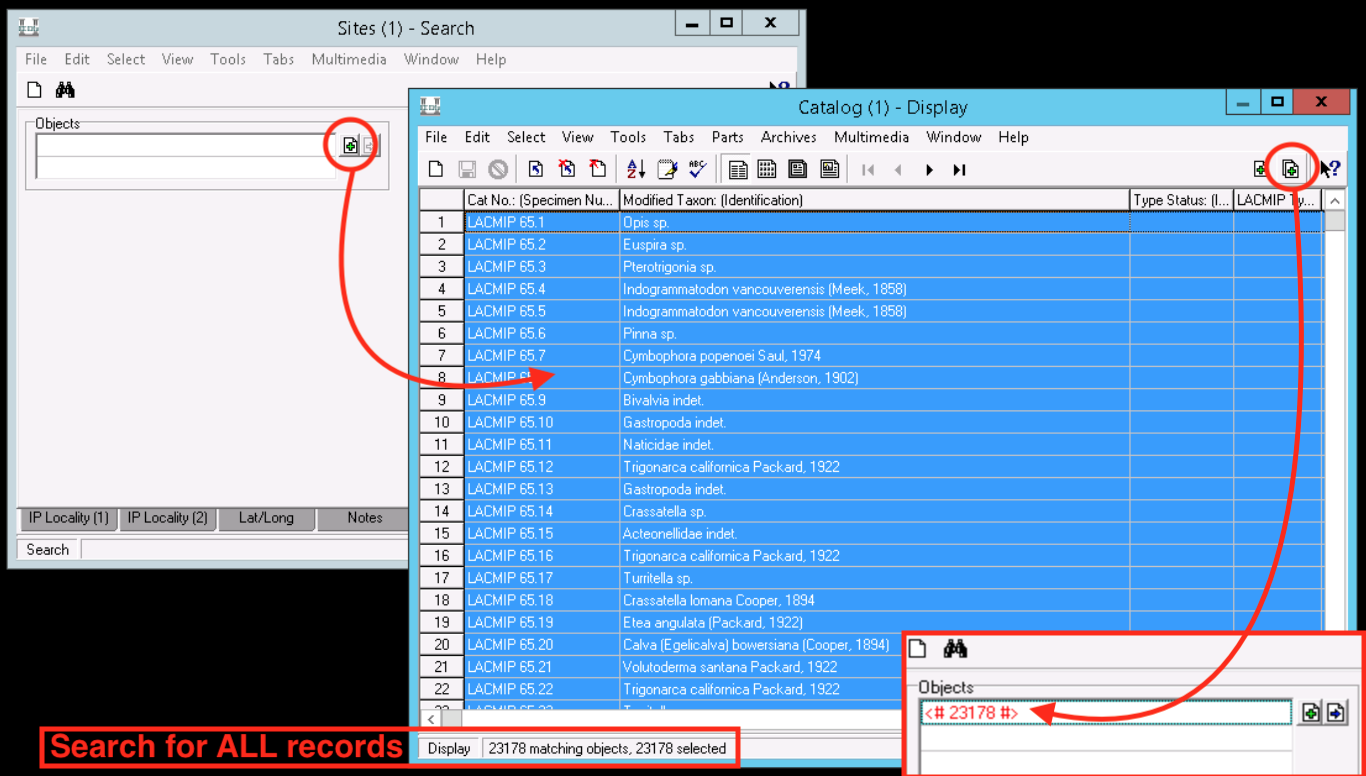 screenshot of searching by attachments in EMu.