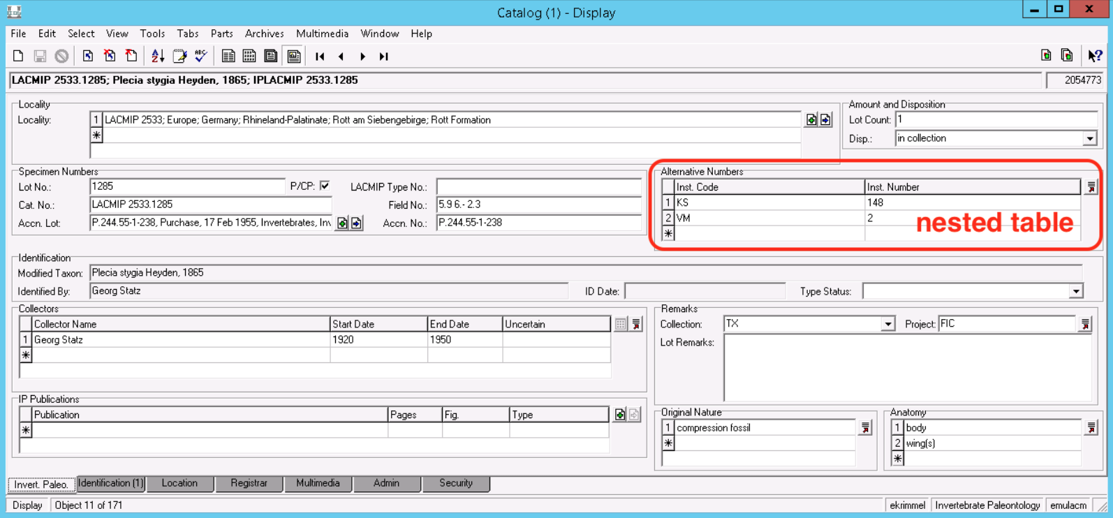 screenshot of nested table